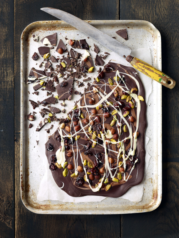 Terms and Conditions 